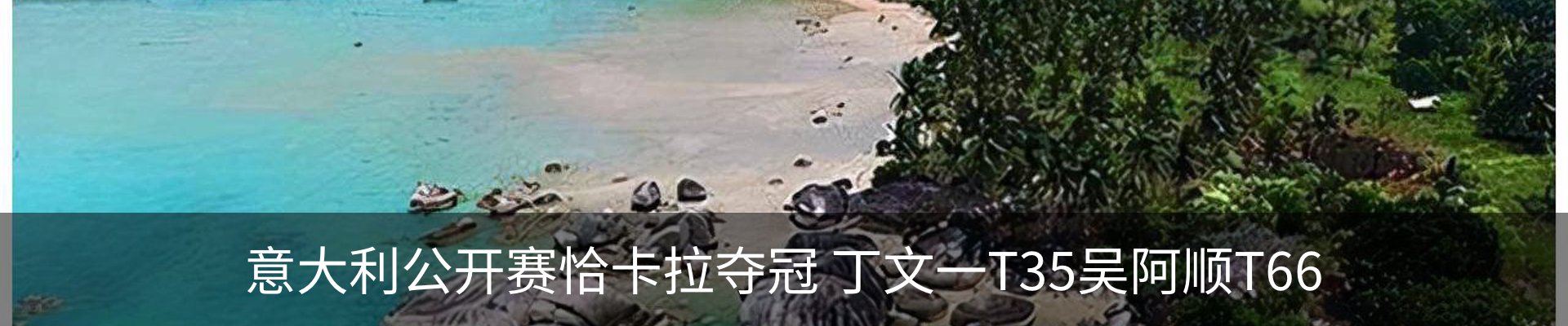 新闻动态