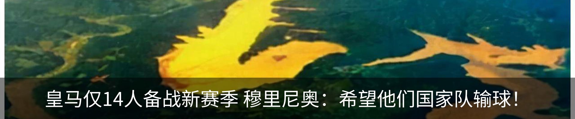 新闻动态