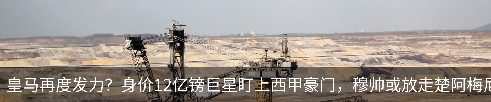 新闻动态